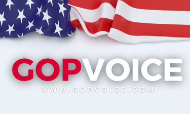 GOPVoice.com - Creative brandable domain for sale